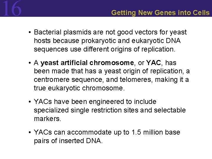 16 Getting New Genes into Cells • Bacterial plasmids are not good vectors for