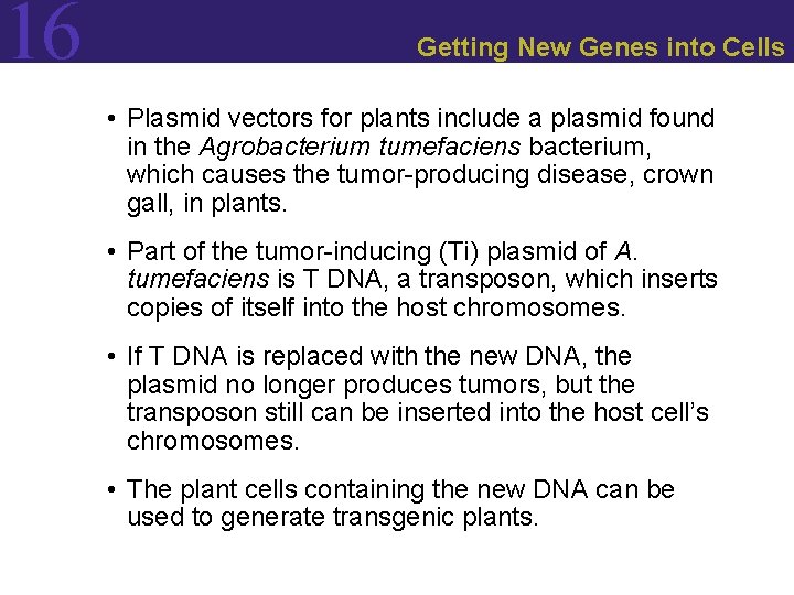 16 Getting New Genes into Cells • Plasmid vectors for plants include a plasmid 16 Getting New Genes into Cells • Plasmid vectors for plants include a plasmid