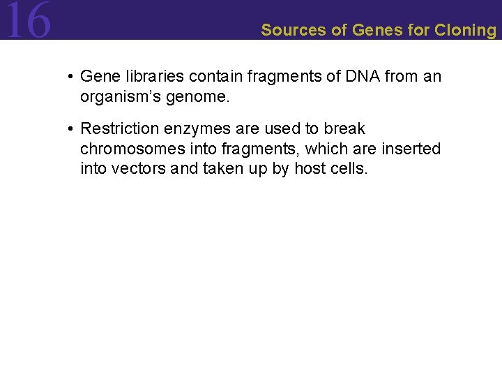 16 Sources of Genes for Cloning • Gene libraries contain fragments of DNA from