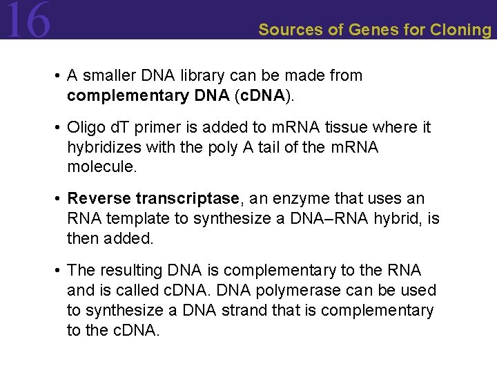 16 Sources of Genes for Cloning • A smaller DNA library can be made