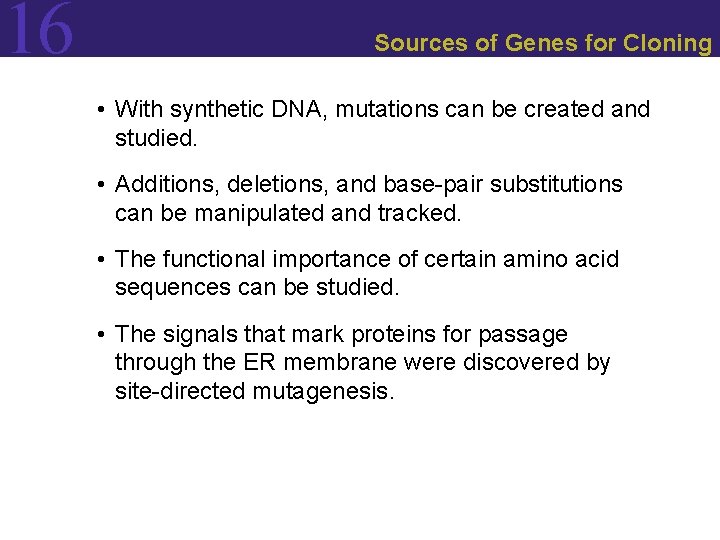 16 Sources of Genes for Cloning • With synthetic DNA, mutations can be created