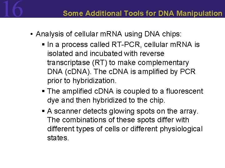 16 Some Additional Tools for DNA Manipulation • Analysis of cellular m. RNA using