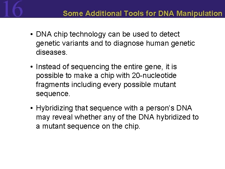 16 Some Additional Tools for DNA Manipulation • DNA chip technology can be used