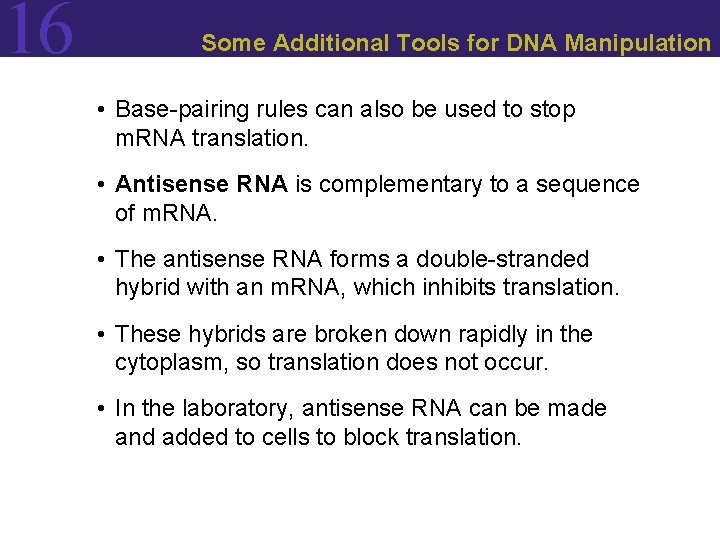 16 Some Additional Tools for DNA Manipulation • Base-pairing rules can also be used