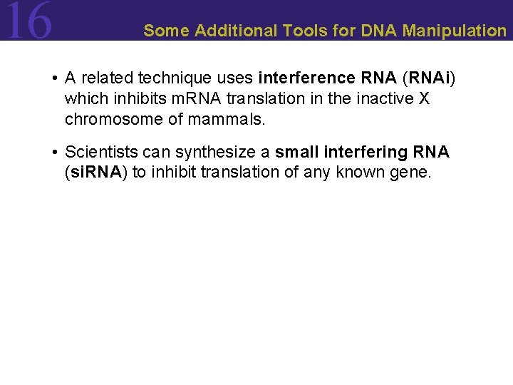 16 Some Additional Tools for DNA Manipulation • A related technique uses interference RNA