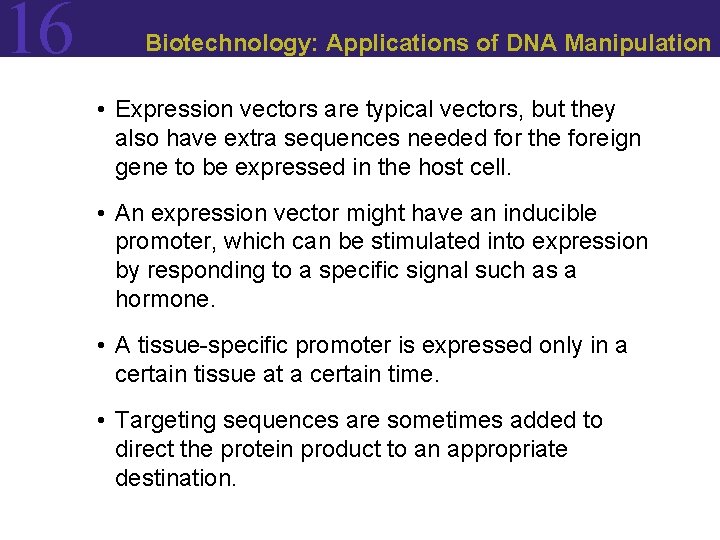 16 Biotechnology: Applications of DNA Manipulation • Expression vectors are typical vectors, but they