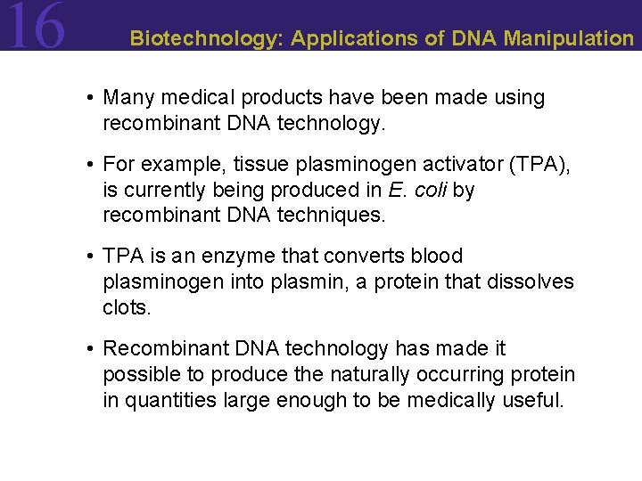 16 Biotechnology: Applications of DNA Manipulation • Many medical products have been made using