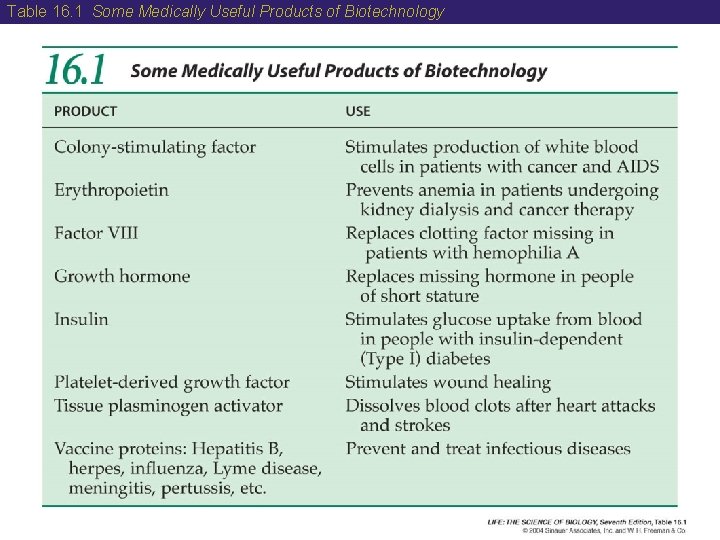 Table 16. 1 Some Medically Useful Products of Biotechnology  Table 16. 1 Some Medically Useful Products of Biotechnology