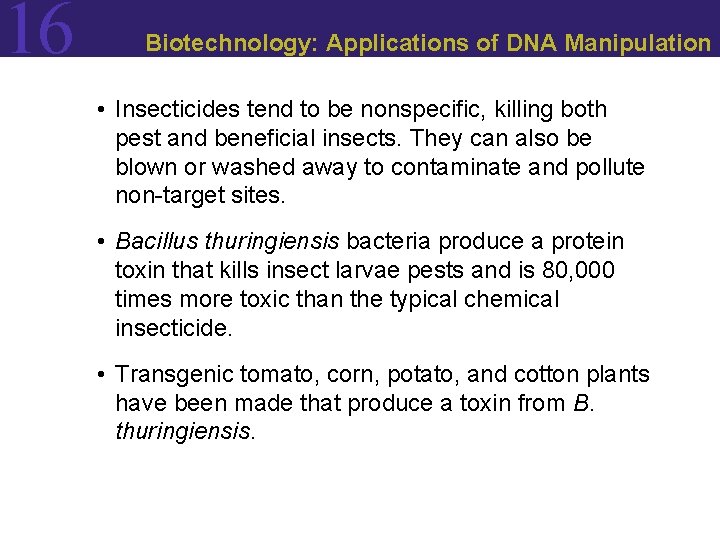 16 Biotechnology: Applications of DNA Manipulation • Insecticides tend to be nonspecific, killing both