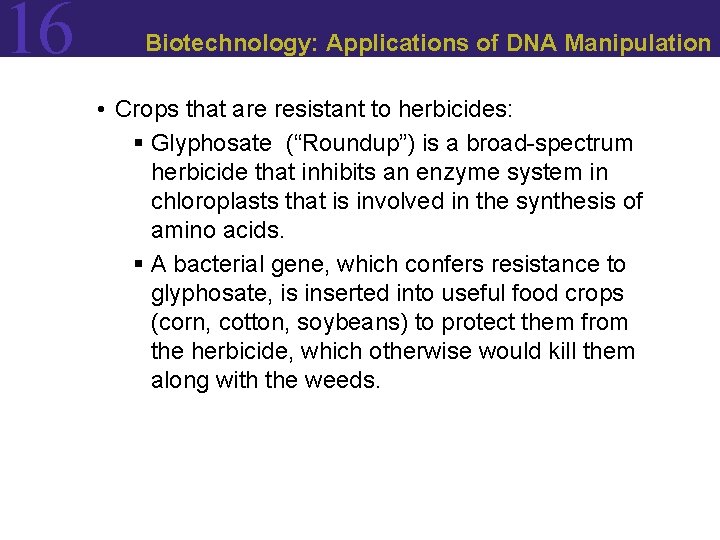 16 Biotechnology: Applications of DNA Manipulation • Crops that are resistant to herbicides: §