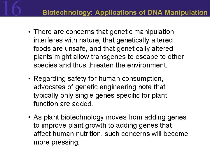 16 Biotechnology: Applications of DNA Manipulation • There are concerns that genetic manipulation interferes