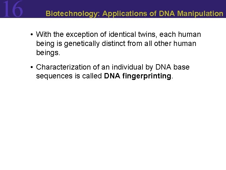 16 Biotechnology: Applications of DNA Manipulation • With the exception of identical twins, each