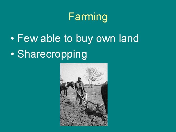 Farming • Few able to buy own land • Sharecropping 