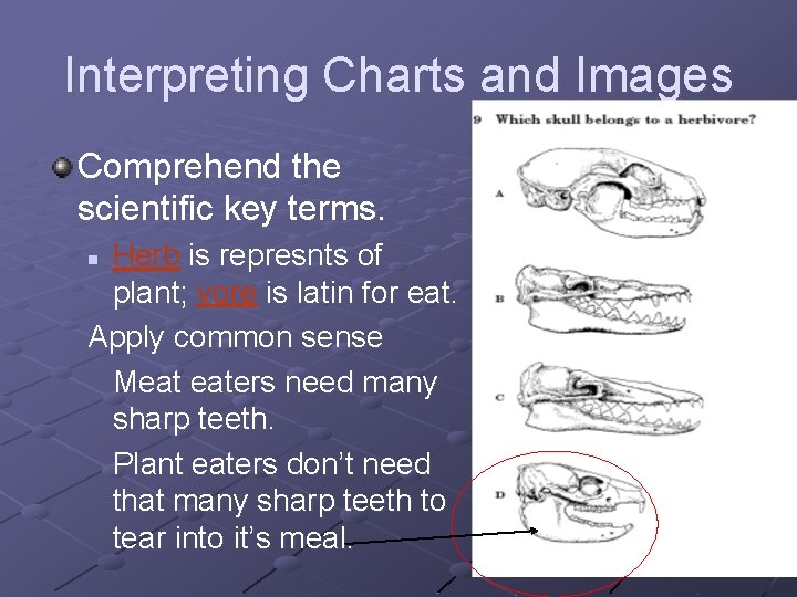 Interpreting Charts and Images Comprehend the scientific key terms. Herb is represnts of plant;