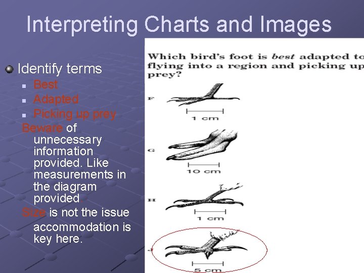 Interpreting Charts and Images Identify terms Best n Adapted n Picking up prey Beware