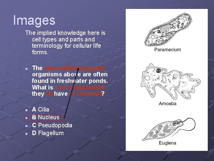 Images The implied knowledge here is cell types and parts and terminology for cellular