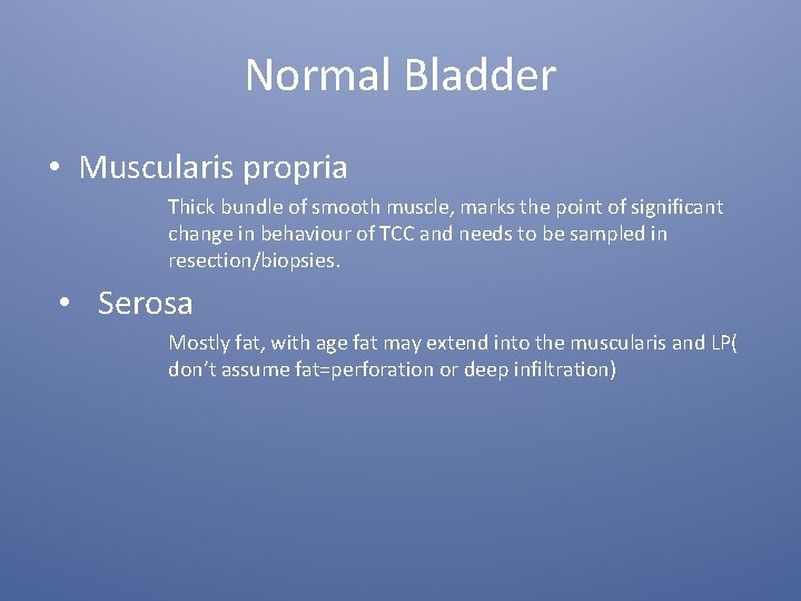 Normal Bladder • Muscularis propria Thick bundle of smooth muscle, marks the point of