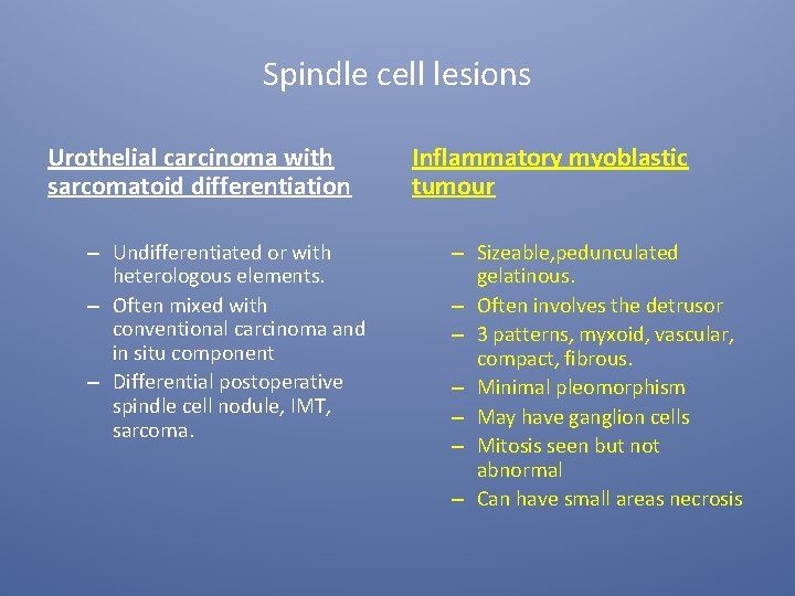 Spindle cell lesions Urothelial carcinoma with sarcomatoid differentiation – Undifferentiated or with heterologous elements.