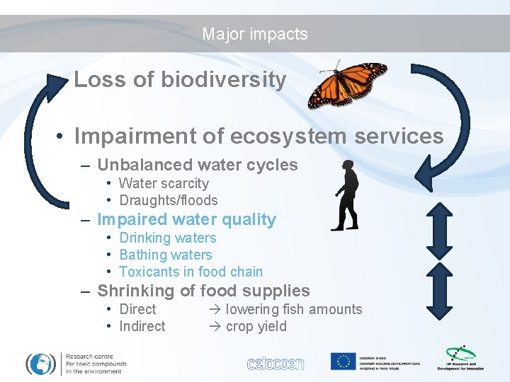 Major impacts • Loss of biodiversity • Impairment of ecosystem services – Unbalanced water