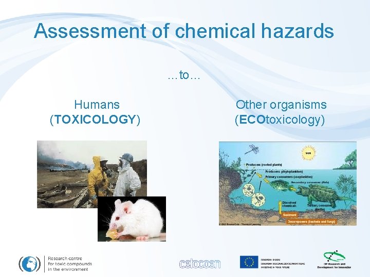 Assessment of chemical hazards …to… Humans (TOXICOLOGY) Other organisms (ECOtoxicology) 