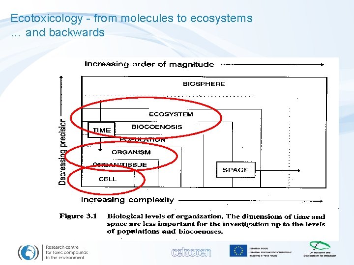 Ecotoxicology - from molecules to ecosystems … and backwards 