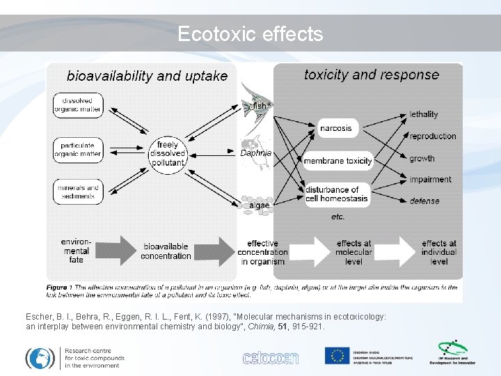 Ecotoxic effects Escher, B. I. , Behra, R. , Eggen, R. I. L. ,