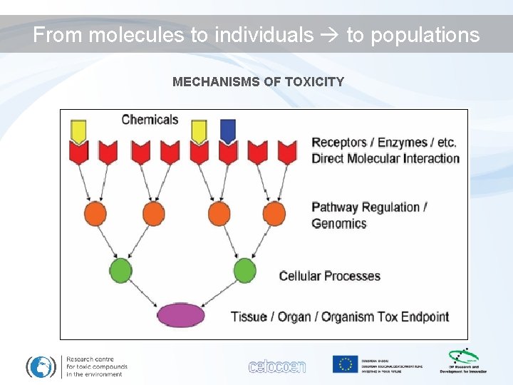 From molecules to individuals to populations MECHANISMS OF TOXICITY 