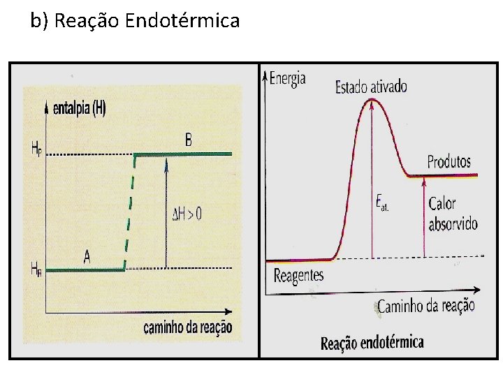 b) Reação Endotérmica 