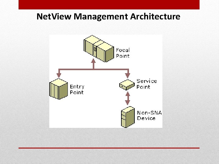 Net. View Management Architecture 
