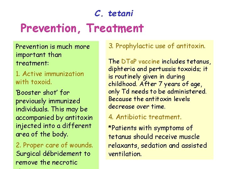 C. tetani Prevention, Treatment Prevention is much more important than treatment: 1. Active immunization