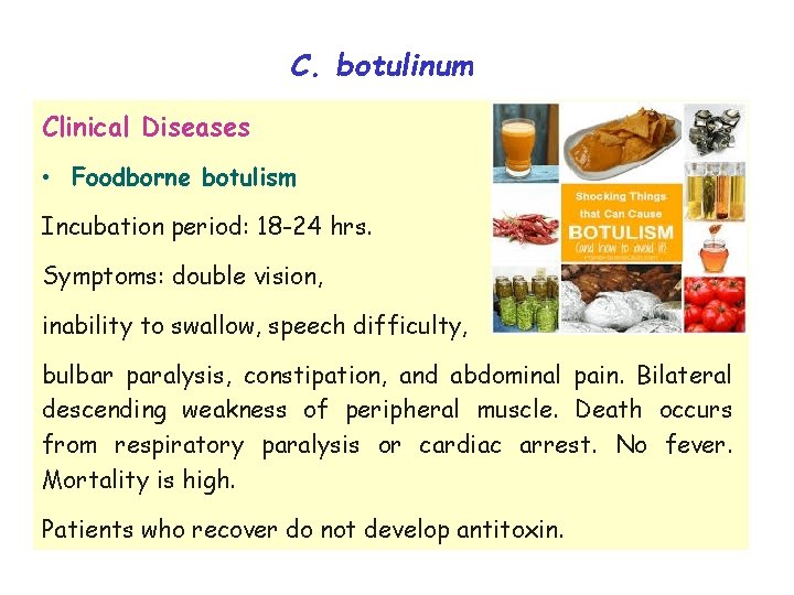 C. botulinum Clinical Diseases • Foodborne botulism Incubation period: 18 -24 hrs. Symptoms: double