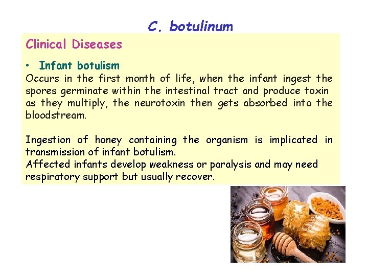 Clinical Diseases C. botulinum • Infant botulism Occurs in the first month of life,