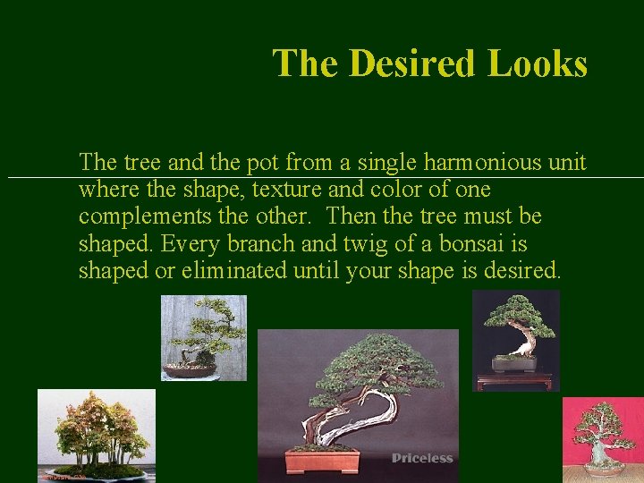 The Desired Looks The tree and the pot from a single harmonious unit where