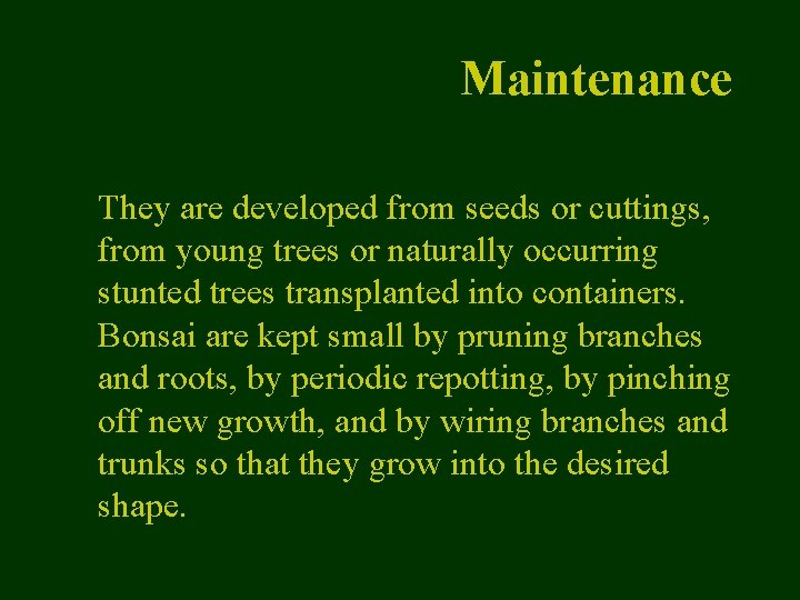 Maintenance They are developed from seeds or cuttings, from young trees or naturally occurring