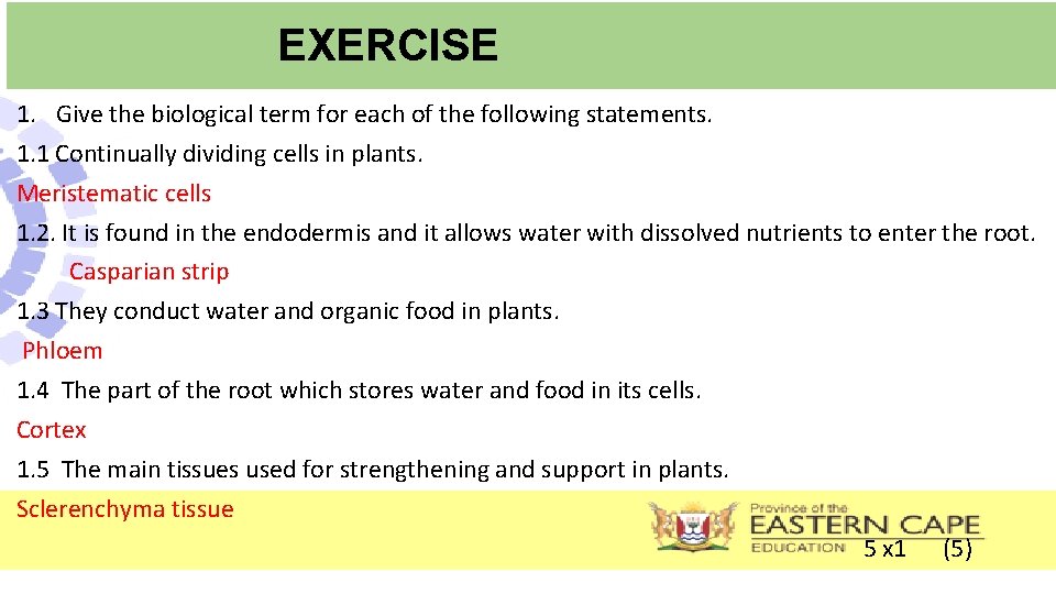 EXERCISE 1. Give the biological term for each of the following statements. 1. 1