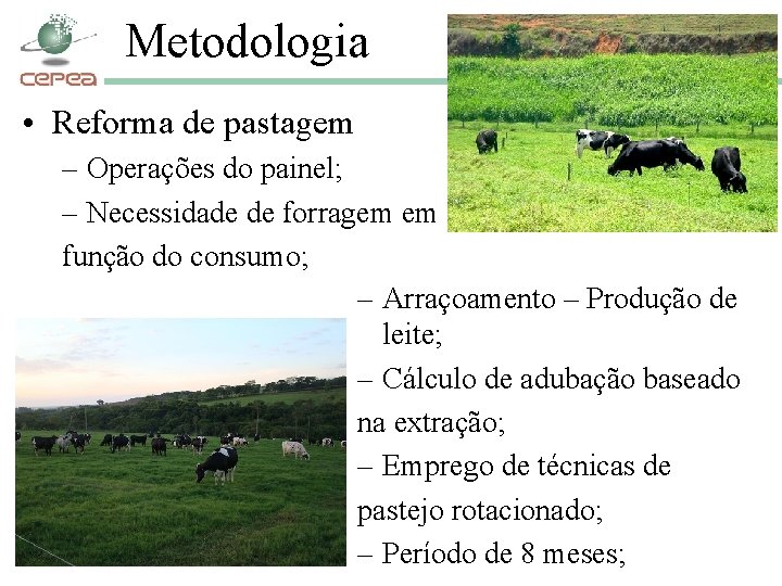 Metodologia • Reforma de pastagem – Operações do painel; – Necessidade de forragem em