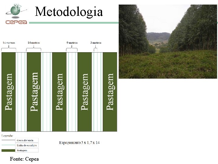 Metodologia Fonte: Cepea 