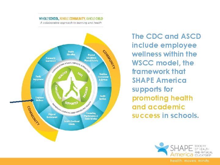 The CDC and ASCD include employee wellness within the WSCC model, the framework that