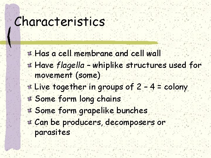 Characteristics Has a cell membrane and cell wall Have flagella – whiplike structures used