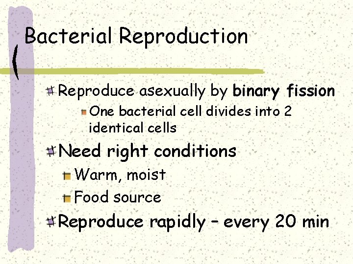 Bacterial Reproduction Reproduce asexually by binary fission One bacterial cell divides into 2 identical