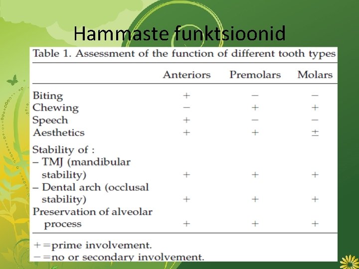 Hammaste funktsioonid 