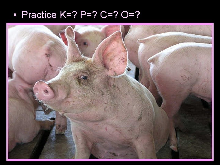  • Practice K=? P=? C=? O=? 