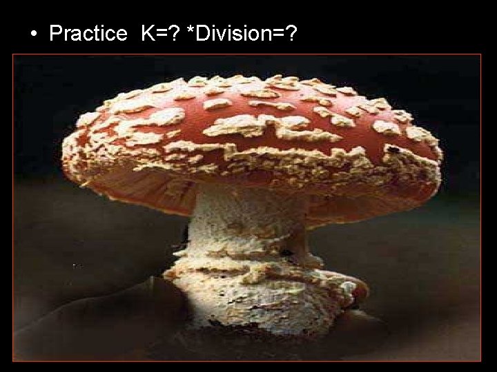  • Practice K=? *Division=? 