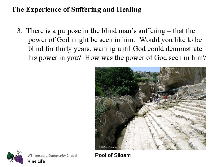 The Experience of Suffering and Healing 3. There is a purpose in the blind