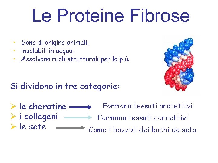 Le Proteine Fibrose • Sono di origine animali, • insolubili in acqua, • Assolvono