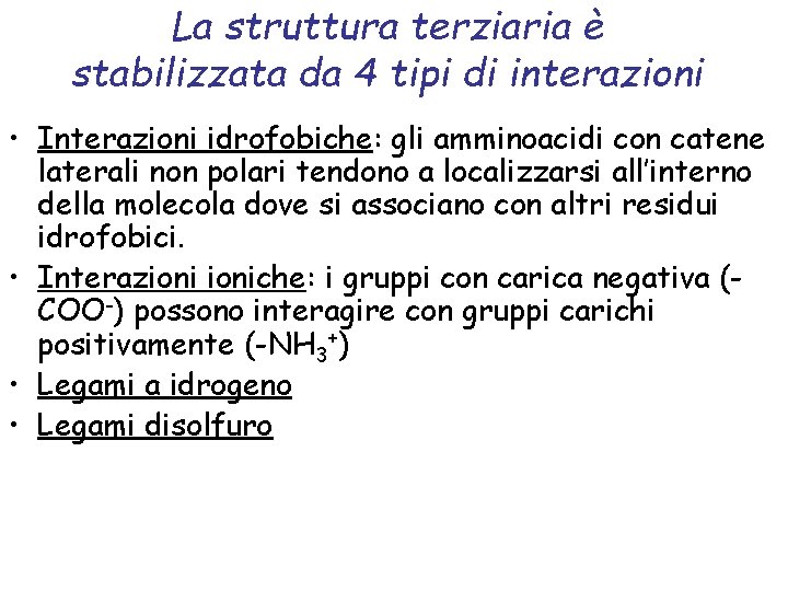 La struttura terziaria è stabilizzata da 4 tipi di interazioni • Interazioni idrofobiche: gli