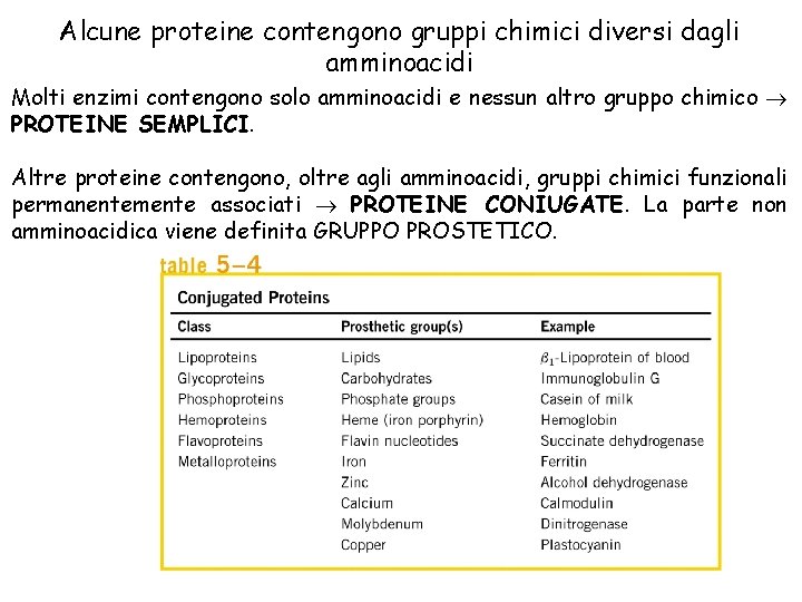 Alcune proteine contengono gruppi chimici diversi dagli amminoacidi Molti enzimi contengono solo amminoacidi e