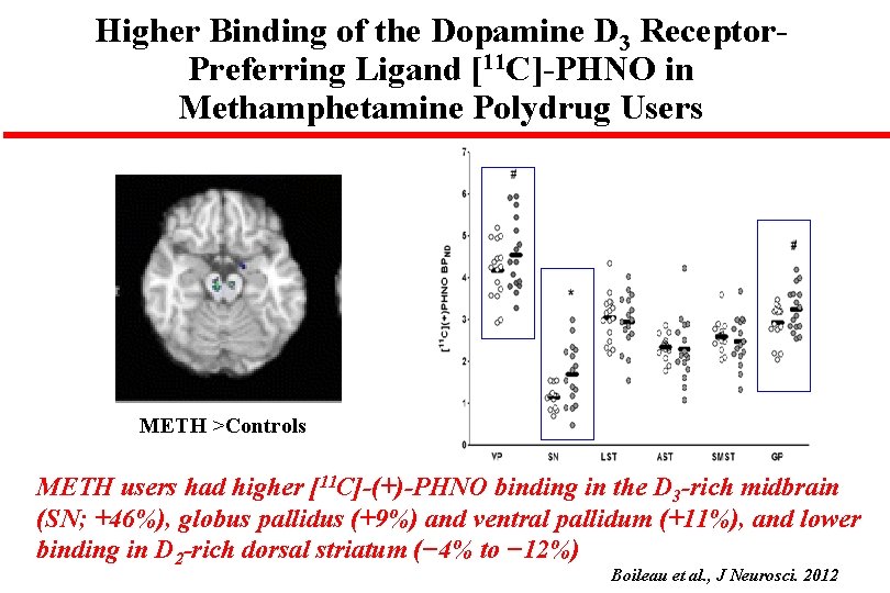 Higher Binding of the Dopamine D 3 Receptor. Preferring Ligand [11 C]-PHNO in Methamphetamine