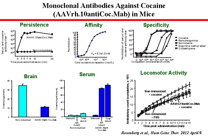 Monoclonal Antibodies Against Cocaine (AAVrh. 10 anti. Coc. Mab) in Mice Persistence 101 Non-immunized