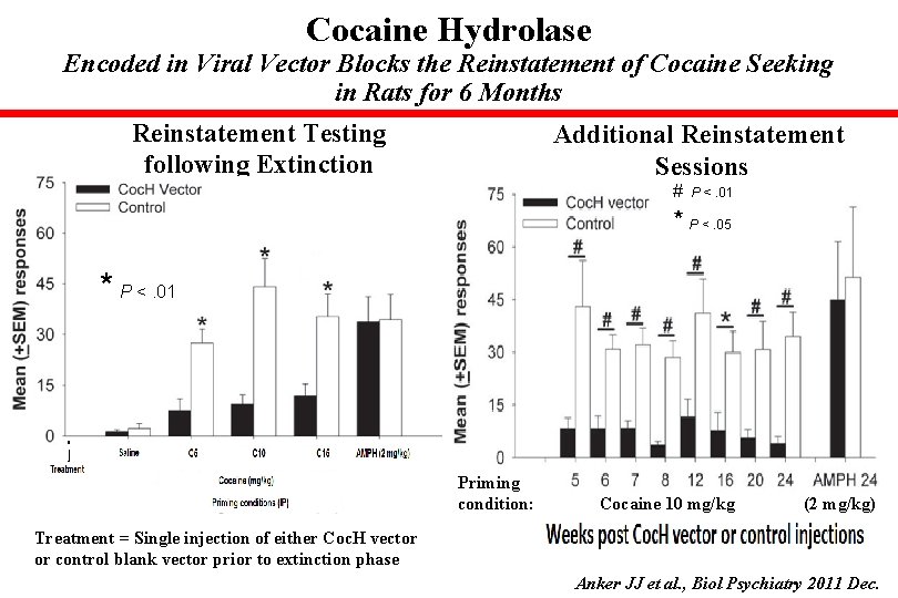 Cocaine Hydrolase Encoded in Viral Vector Blocks the Reinstatement of Cocaine Seeking in Rats